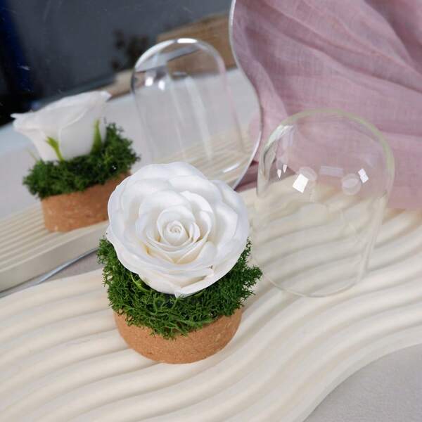 Artificial Preserved Roses In Glass Dome Beauty And Beast Eternal Rose Valentines Day Girlfriend Holiday Birthday Gift Spring Valentine's Day Mother's Day Wedding Decor