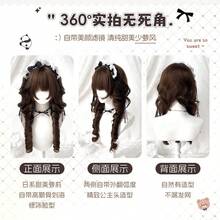 洛丽塔长卷发假发水母头假发合成纤维假发（棕色） - 深棕色 - 查看 4