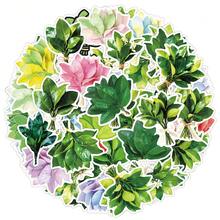 50张简约清新柚子叶装饰贴纸，传统文化祝福贴纸，可用于杯子、信封、书架等。 - 彩色 - 查看 6