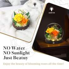 Valentines Day Gifts For Her Forever Rose Birthday Gifts For Women Preserved Flowers In Glass Dome Eternal Flowers For Delivery Prime Yw Rose - 黃玫瑰 - 查看 5