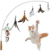 Bait Rigging - 2-colorful - View 6