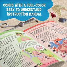 CYPNThames and Kosmos Kit de experimentos científicos anatomía: Cuerpo Humano Visible con órganos blandos para niños unisex 3+Fashion - como en la foto - Ver 4