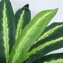 1 件 20.86 英寸多款式人造巴西木树叶 - 可调节枝条设计，适用于日常家居装饰 - 巴西木 - 查看 12