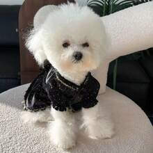 Small Pet Black Polka Dot Lace Princess Dress, Puppy/Kitten Apparel Princess Bow Mini Dress, Suitable For Poodle, Bichon Frise, Teddy Bear