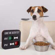 1个宠物喂食提醒吊坠，狗狗喂食追踪器：早晚提醒，宠物喂食时间表 - 木质猫狗喂食提醒宠物木质吊坠创意猫狗喂食提醒吊坠（非冰箱贴） - 0 - 查看 5