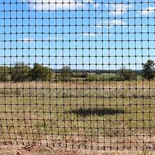 Malla gallinera | Malla pollera | Proteccin para Jardines y canceles | NO se oxida | Plstica | De Calidad | Larga duracin (1x1 Metro con Cuadro de 16x19 mm) - 1x1 metro con cuadro de 16x19 mm - Ver 5