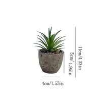 1 pot de plante succulente artificielle, plante succulente décorative factice avec pot gris, convient pour le bureau, les étagères, le bureau, la maison, la salle de bain et autres petits espaces, excellent cadeau pour la Saint-Valentin - Vert - Voir 7