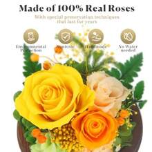 Valentines Day Gifts For Her Forever Rose Birthday Gifts For Women Preserved Flowers In Glass Dome Eternal Flowers For Delivery Prime Yw Rose - 黃玫瑰 - 查看 2