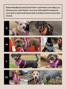 Luxury Design Pet Harness & ID Tag Set, High-Quality Metal Fittings, Fashion Printed, Suitable For Small, Medium And Large Puppies, Ideal Valentine's Day And New Year Gift - Multicolor - View 10