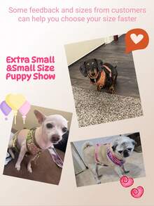 Luxury Design Pet Harness & ID Tag Set, High-Quality Metal Fittings, Fashion Printed, Suitable For Small, Medium And Large Puppies, Ideal Valentine's Day And New Year Gift - Multicolor - View 11