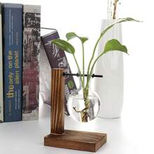 Retro Hydroponic Bulb-Shaped Glass Vase With Wooden Stand - Plant Propagation Station For Home Decor - Set Of 2 Containers - Brown - View 2
