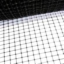 Malla gallinera | Malla pollera | Proteccin para Jardines y canceles | NO se oxida | Plstica | De Calidad | Larga duracin (1x1 Metro con Cuadro de 16x19 mm) - 1x1 metro con cuadro de 16x19 mm - Ver 3
