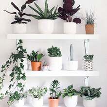 2 Soportes de Hierro para Estantes: Soportes de Soporte en Forma de L, Adecuados para Estantes de Pared, Soportes de Fijación de Ángulo Recto de Alta Resistencia