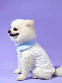 宠物狗衣服，T恤，背心，Polo衫，休闲可爱运动套装，适合泰迪犬、贵宾犬、马尔济斯犬、雪纳瑞犬等，四季皆宜 - 白色 - 查看 6