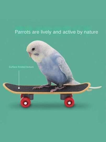 Monopatín de dedo de tamaño grande, juguete de loro, juguete de pájaro, juguete antiestrés