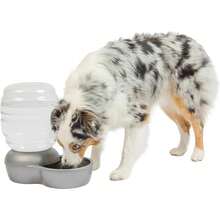0.5-Gallon Gravity Pet Waterer With Charcoal Filter, Automatic Water Dispenser For Cats & Dogs, Easy To Clean And Refill, Extended Fresh Water Supply For Multi-Pet Homes - 64 液盎司 - 查看 2