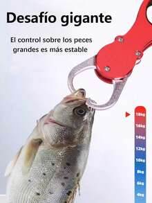 1 Pieza De Pesca De Calidad - Durable Acero Inoxidable Tackle Y Cortador De Línea, Cuchillas Afiladas, Controlador De Plástico Y Pinzas De Acero Inoxidable Tackle, Control De Pescado De Acero Inoxidable, Ideal Para Acampar, Pesca, Viene Con Accesorios De Pesca Herramientas De Reparación. Fácil De Llevar, Se Puede Colocar En La Bolsa De Pesca Y Caja De Herramientas. Herramientas De Pesca Y Accesorios Para Una Pesca Fácil Y Práctica, Asequible Y De Alta Calidad. - Rojo - Ver 5