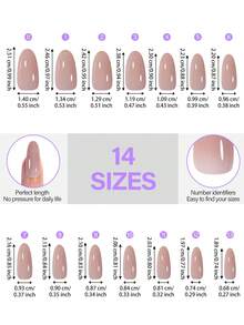 140片中长椭圆形美甲贴片，5种颜色，14种尺寸，内侧半哑光磨砂设计，粘合力更强，专为亚克力美甲延长和按压式美甲设计，是美甲沙龙专业人士和DIY美甲爱好者的理想之选。 - 彩色 - 查看 7