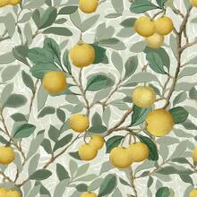 1卷清新柑橘植物自粘墙纸，浅绿色和淡黄色叶子、枝条和果实图案，可移除乙烯基材质，即撕即贴装饰墙贴，复古插画风格墙纸，自然艺术家居装饰贴纸，尺寸17.32 x 393.70英寸，适用于客厅、厨房、卧室、浴室、餐厅、家具翻新，易于安装。 - 彩色 - 查看 11