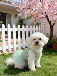 1pc Pet Dog/Cat Elegant Birthday Party Ballet Tutu Dress, Romantic Princess Dress With Suspender & Mesh, Suitable For Small Dogs & Cats, Breathable For Spring/Summer - Mint Green - View 20