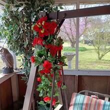2/1 pièce Vigne de rose artificielle, guirlande de rose suspendue, panier floral factice, fleurs en plastique d'extérieur, décoration de maison, entretien facile, parfait pour les fêtes, les jardins, les mariages, sans pile ni contenant | Décoration d'extérieur | Décoration de fenêtre | Panier suspendu en plastique sans entretien, décoration de jardin, affichage de couleurs éclatantes - Multicolore - Voir 4
