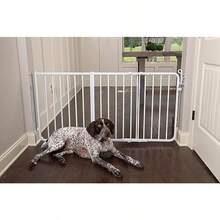 Cardinal Pet Gates 21.75 Pulgadas de extensión Color Blanco - Blanco - Ver 4