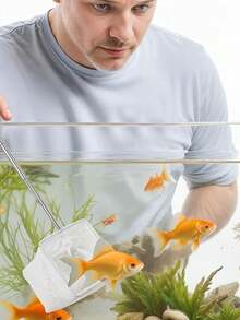 1pc Stainless Steel Retractable 3D Fish Net, Small Aquarium Fish Catching Net, Tropical Fish Tank Cleaning Net - Multicolor - View 3