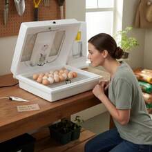CYPNFarm Innovators 2100 - Incubadora de Aire sin calefacción para 4 docenas de Huevos con higrómetro Integrado Circuito de Estado sólido y 2 Ventanas de visualización Grandes Color BlancoFashion - 227394737 - Ver 5