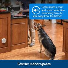 PetSafe Pawz Away Indoor Pet Barrier with Adjustable Range Dog and Cat Home Proofing Static Correction Wireless Pet Gate Keeps Areas Off Limits Battery-Operated For Pets 5 lbs. and Up - Marrón - Ver 3