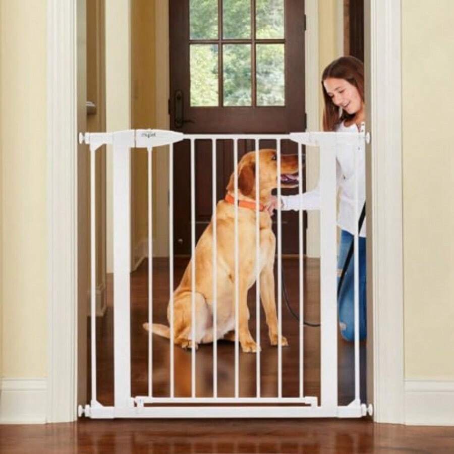 Pet Barriers - Blanco - View 1