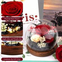 Purple Rose Valentines Day Gifts For Her | Forever Rose Gift For Grandma Mom Birthday | Flowers For Delivery Long-Lasting Real Flowers In Glass Dome | Gifts For Women Birthday Mothers Day Christmas - D3- 紅玫瑰 - 查看 5