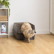 IRIS USA Caja de Arena para Gatos Extra Grande con Protección contra Derrames Caja de Arena Alta con Abierto Superior Gris - Gris - Ver 8