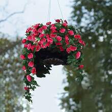 2/1 pièce Vigne de rose artificielle, guirlande de rose suspendue, panier floral factice, fleurs en plastique d'extérieur, décoration de maison, entretien facile, parfait pour les fêtes, les jardins, les mariages, sans pile ni contenant | Décoration d'extérieur | Décoration de fenêtre | Panier suspendu en plastique sans entretien, décoration de jardin, affichage de couleurs éclatantes - Multicolore - Voir 6