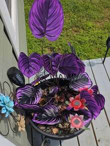 2/4株大型仿真紫色花卉植物，27.56英寸仿真紫罗兰，户外仿真绿紫色，适用于家居、办公桌和婚礼，室内/室外装饰，装饰绿植，免维护植物，仿真户外植物，花园装饰，家居装饰 - 多 - 查看 9