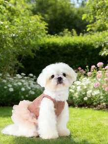 1 件优雅芭蕾薄纱裙宠物狗服装，公主裙无袖浪漫派对装，适合小型犬、猫，清凉春夏