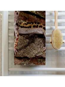 Towels - Multicolor - View 2