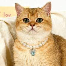 1 pieza Collar de mascota con colgante de mariposa multicolor, collar con colgante de perro/gato con rhinestones, accesorios de collar europeos y americanos, collar de gato con perlas - Multicolor - Ver 7