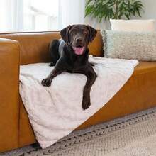 PZW-Best Friends By Sheri Calming Lux Dog Blanket Ultra Soft Faux Fur Pet Throw Anxiety-Relief Lightweight Warm Bed Cover For Dogs And Cats Machine Washable Oyster Cream 40" X 50"0875 - 牡蠣 - 查看 7