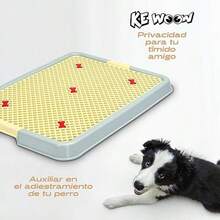 Baño para Perros Tapete Entrenador Orinal Perro Mascotas con Rejilla Porta Pañales para Perro Arenero Conejo Entrenamiento de Perros Chico Azul - Azul - Ver 5
