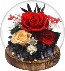 Purple Rose Valentines Day Gifts For Her | Forever Rose Gift For Grandma Mom Birthday | Flowers For Delivery Long-Lasting Real Flowers In Glass Dome | Gifts For Women Birthday Mothers Day Christmas - D3- 紅玫瑰 - 查看 7