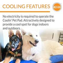 CYPNKandH Pet Products Coolin' Pet Pad -  Self-Cooling Pet Mat Pad Azul X-Large/27 x 38"Fashion - 227410213 - Ver 5