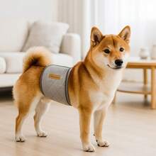 宠物狗生理裤、公狗尿布、狗卫生裤、防骚扰裤、宠物用品 - 多色 - 查看 4