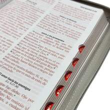 Biblia RVR 60 Letra Grande con ziper tiene indice PJR Inspiración León Negro/gris/gris Tamaño Manual - Libro único - Ver 2