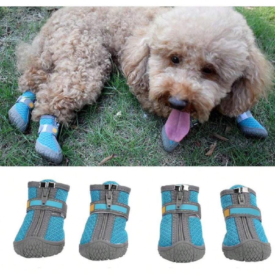 Pet Shoes & Boots - Blue and White - View 1