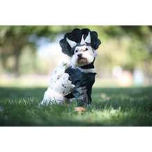 CYPNCALIFORNIA COSTUME COLLECTIONS Pet Dino Pup - Disfraz para Perro Verde Oscuro Cuello S Circunferencia 12-14 16-20 Espalda EE.UUFashion - 227420464 - Ver 3