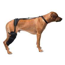 CYPNCaldera Pet Therapy Stifle Wrap con gel grande negroFashion - 227344042 - Ver 3