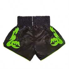 New Men's Boxing Shorts, Muay Thai Shorts With Embroidery, MMA Fighting Gear - Black - View 2