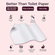 Flushable Wipes For Women - 80-Count Wet Wipes For Adults - PH-Balanced Feminine Wet Tissue With Vitamin E And Aloe - Gentle Feminine Hygiene Body Cleansing Cloth - No Fragrance Large - 80個/包 - 查看 6
