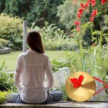 中国新年庆祝活动 - 乐器、初学者道具、锣鼓警示信号、铜管打击乐器套装 - 传统中国音乐鼓、红色手柄、镜面抛光黄铜表面、音色清脆 - 彩色 - 查看 5