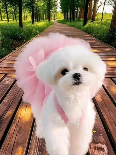 1 件宠物狗/猫优雅生日派对芭蕾舞裙，浪漫公主裙带吊带和网眼，适合小型犬和猫，透气，适合春夏季